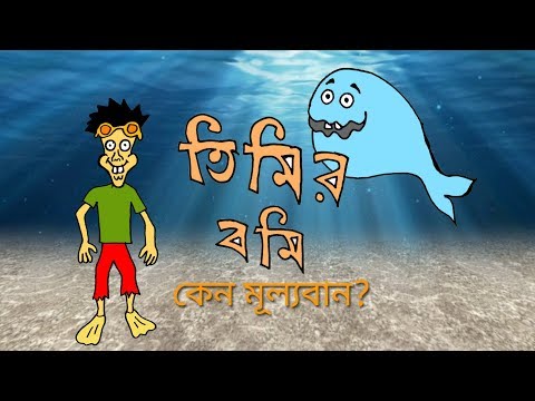 What Is Ambergris|| তিমির বমি! (ঝাকানাকা বিজ্ঞান ১৮)|| Tashfikal Sami || 10 Minute School Blog
