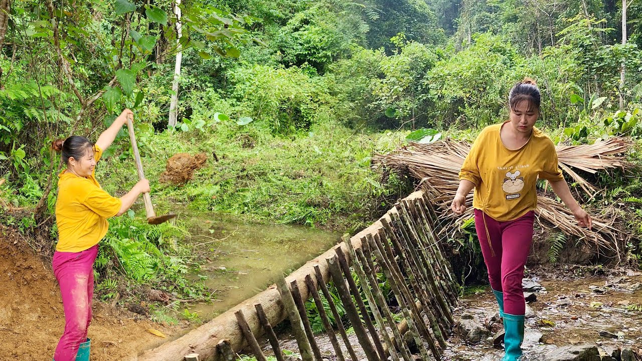 Blocking Streams to Build Dams - Girl alone builds a New Life in the ...