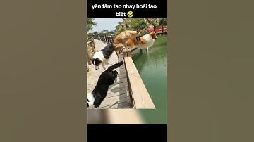 Hài Hước - Vui Nhộn P8