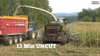 980 on Fire #8  13 Min ungeschnitten  Claas Jaguar 980 beim Maishäckseln  LU Spitzner