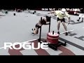 Rogue  dog sled