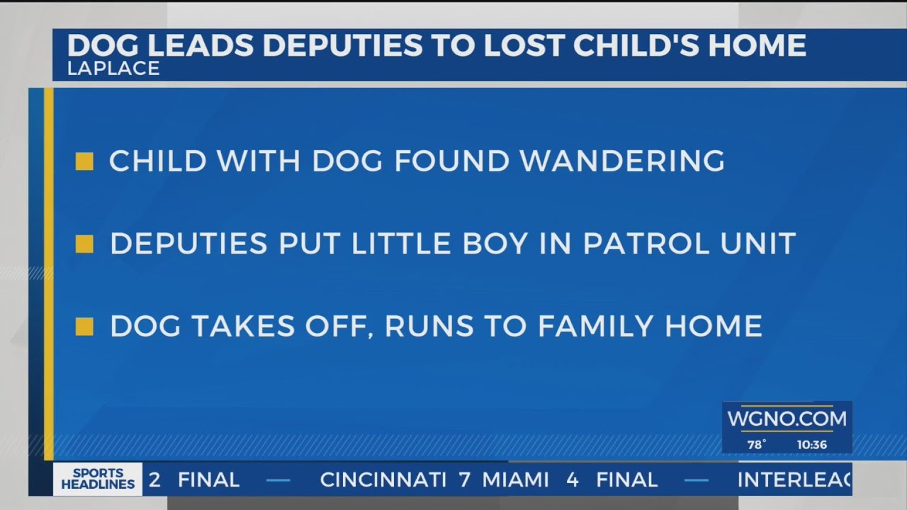 Dog leads St. John deputies to home of lost little boy - YouTube