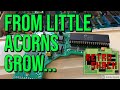 BBC Micro - Part Three: Can This Little ACORN Grow Up To Be A Massive OAK?