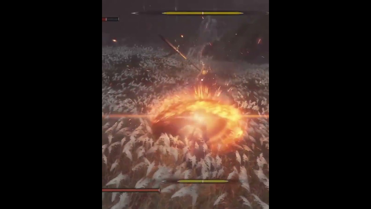 How to defeat Inner Isshin, Second phase in 57 secs.  