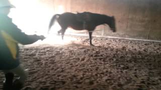 20140423_180336.mp4