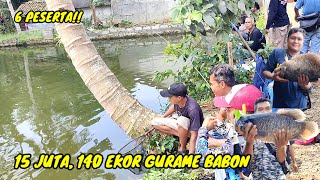 140 Ekor Gurame Babon Total 3 Kuintal‼️5 Kg Per Ekor Harga 15 Juta, Di Pancing 6 Orang