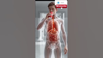 The Shocking Effect of Drinking Coca-Cola | 3D Digestive System Animation #shorts