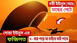 মাছের পেটে নবী ইউনুস (আঃ) দোয়া ইউনুস এর ফজিলত আল্লাহ নিজে বলেছেন ৩ বার পাঠ করে যা চাইবে তাই পাবে