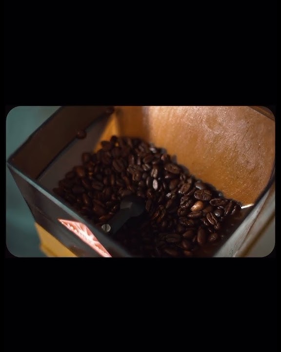 TAZA CAFÉ x CAFÉ REAL COFFEE COLLAB