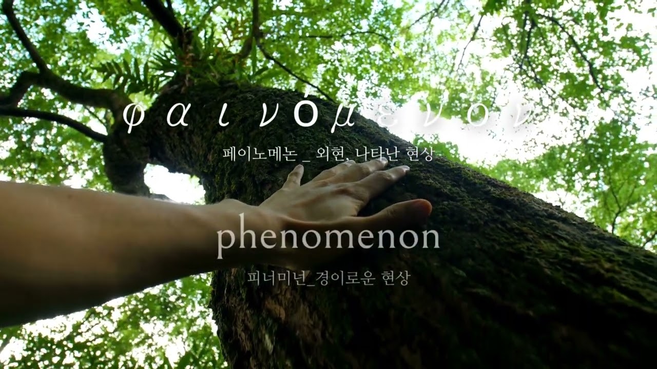 We Are Alitora, Phenomenally