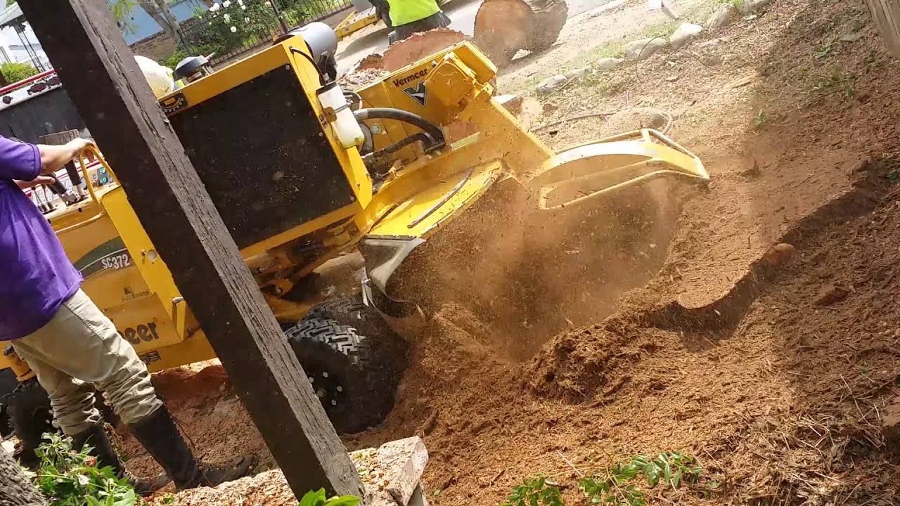 GREEN ALL SEASON TREE SERVICE INC STUMP GRINDING ALL SOUTHERN CALIFORNIA 866-807-4647