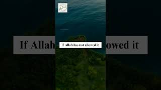 Everything happens for a reason | Mufti Menk #hijabithoughts #islamiclectures #muftimenk