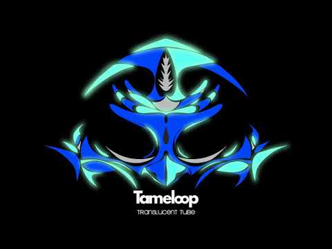 Tameloop - Translucent Tube