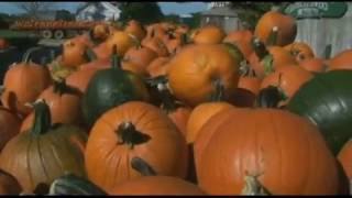 An Introduction to Birchwood Park in Wading River - Located on the East End of Long Island, NY.