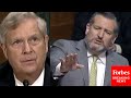 'Your Answers On Immigration Were Fertilizer': Ted Cruz Mocks Tom Vilsack's Testimony To His Face