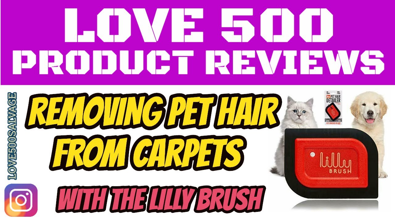 Removing Pet Hair from Carpets & Furnishings with The Lilly Brush YouTube