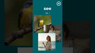 How To Pronounce See Correctly Shadowing Practice