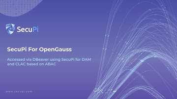 SecuPi for OpenGauss