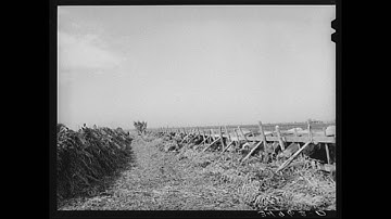 American Folk Music (Southern): Two Soldiers, The (Part 1 of 2)