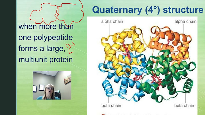 Classify each of the following examples depending on which biological molecule it describes.