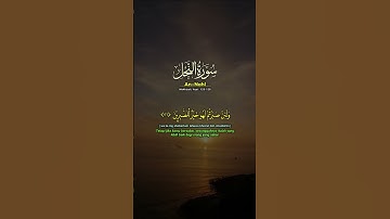 سورة النحل الشيخ خالد الجليل #ألا_بذكر_الله_تطمئن_القلوب#🤲#🤲#🤲 #الحمدلله#🤲مشاء #آسفي#راحة_نفسية #fyp