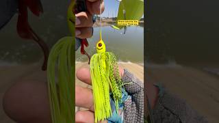 Tips setting Up a Buzzbait with a Log Father #fishing#viralvideo#shortvideo#youtubeshortsT#shorts