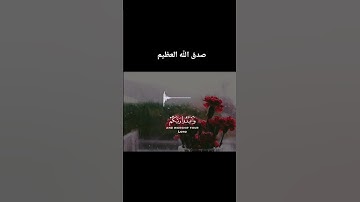 Holy Quran for psychological comfort القرآن الكريم راحة نفسية #راحة_نفسية