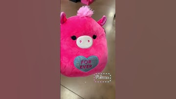 SQUISHMALLOW HUNTING AT KROGER #squishmallows #squishmallow #squishmallowhunting #squishmallowcheck