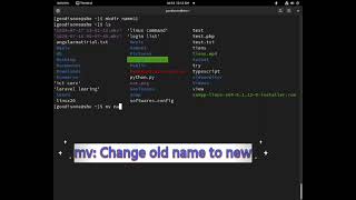Getting Started with Linux  | How to Commands for Managing Directories and Files in Linux | Part 04