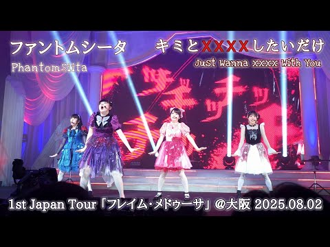 ファントムシータ ロゴ ペンライト ハイネ 武道館 フレイム