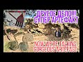 Коп в Англии ЗАЧЁТНЫЙ Артефакт metal detecting uk Amazing Artefacts!