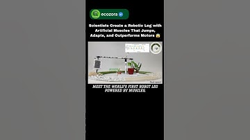 World’s First Muscle-Powered Robot Leg Beats Motors! 🤯⚡ #robotics #science #futuretech #innovation