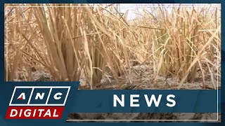 PH mayors tackle El Niño effects, food security concerns with DA officials | ANC