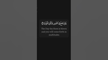 #القرآن_الكريم #quran سورة النبأ | الجزء الثاني من المقطع