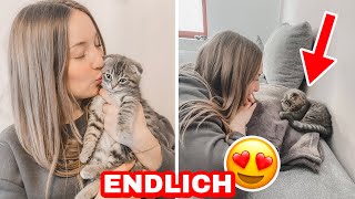 WIR HOLEN NEUE KATZE AB😍