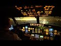 Full Night Landing in Leipzig, Germany 4K | Boeing 737 | Cockpit view | Real sound