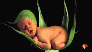 Lullaby Song For Babies. Relaxed sleep. Canción De Cuna Para Bebés. Dormir Relajado.