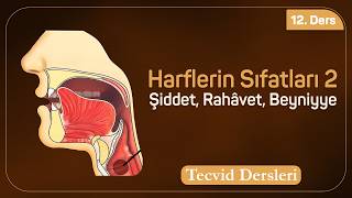 Harflerin Sıfatları 2 Şiddet, Rahâvet Ve Beyniyye Tecvid Dersleri 12