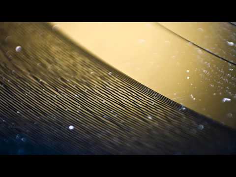 Ed Solo - Age Of Dub