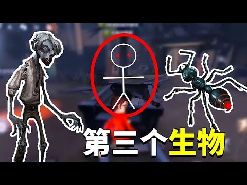第五人格观察室：只见红光，不见其人？闪金洞窟新增“第三生物”