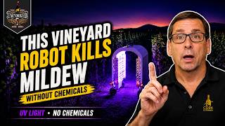 Meet the Robot Fighting Vineyard Disease With UV Light - This Week Uncorked Episode 111