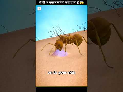 चींटी के काटने से दर्द क्यों होता है 😱 #facts #viral #short