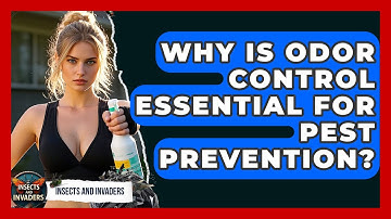 Why Is Odor Control Essential For Pest Prevention? - Insects and Invaders