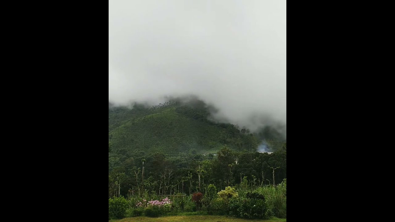 The place where i wanna live cuddling Nature 