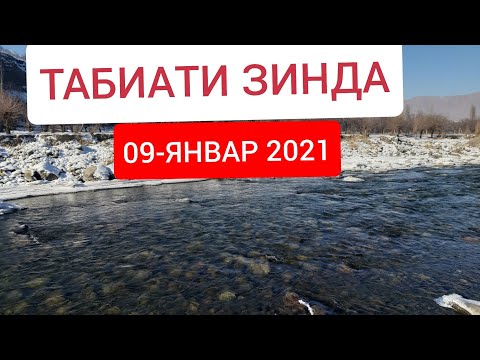 ТАБИАТИ ЗИНДА ВОРУХ-09-ЯНВАР