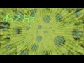 432 Hz Inner Calm + Harmony Meditation Music | Dissolve Stress + Anxiety