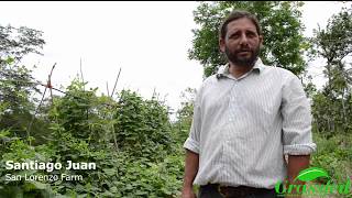 Just Keep Planting with Santiago Juan - Part 1: Introduction