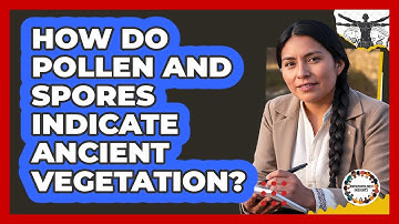 How Do Pollen And Spores Indicate Ancient Vegetation?