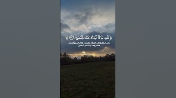 #سورة_آل_عمران #احمد_النفيس #سورة_ال_عمران #أحمد_النفيس #سورة_العمران #القارئ_احمد_النفيس