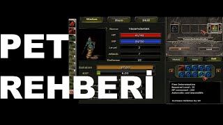 KNİGHT ONLİNE PET REHBERİ 2020